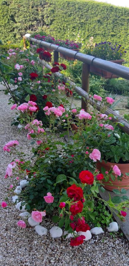 Bed and breakfast Le Terrazze