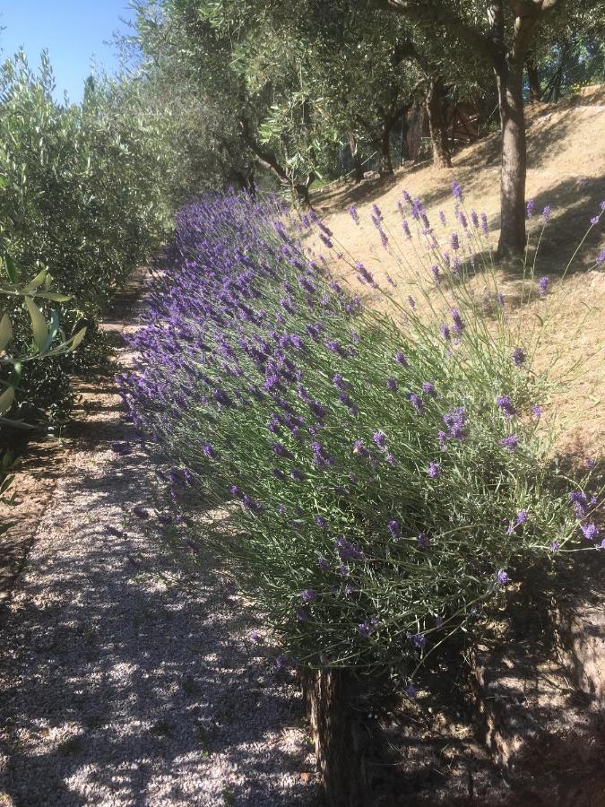 Bed and breakfast Le Terrazze 3*