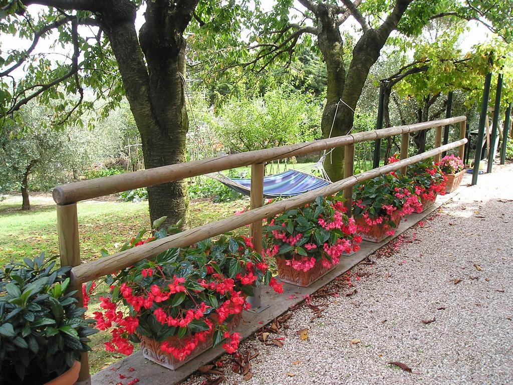 Bed and breakfast Le Terrazze 3*