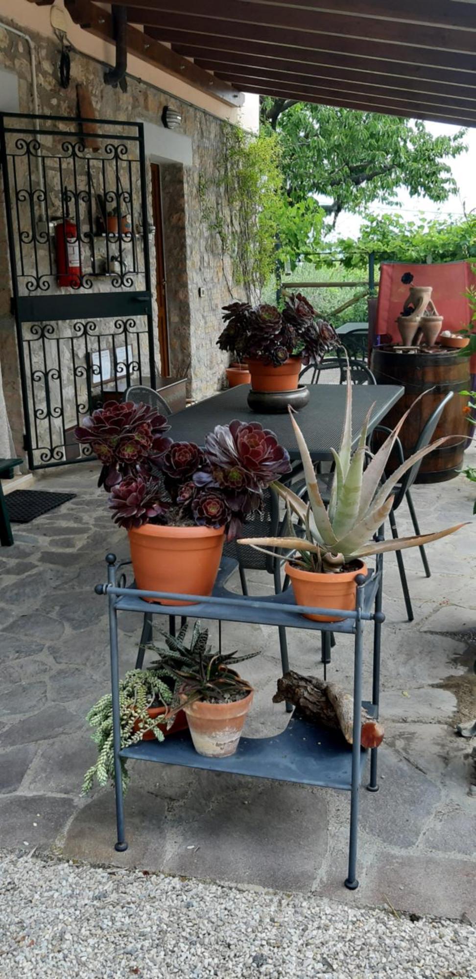 B&B Le Terrazze Perugia