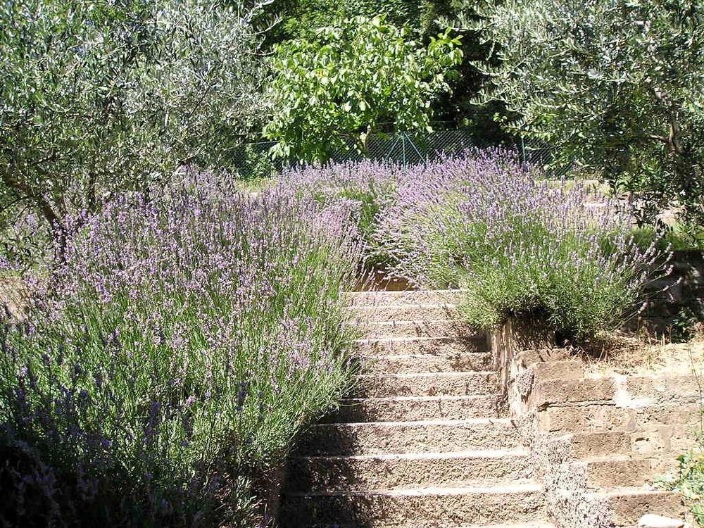 Le Terrazze Perugia