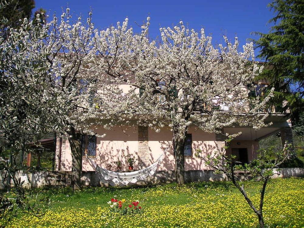 Bed and breakfast Le Terrazze Perugia